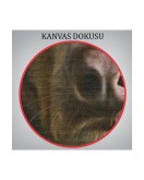 İnsan Kıyafetli Kasketli Köpek Dekoratif Duvar Tablosu -6178